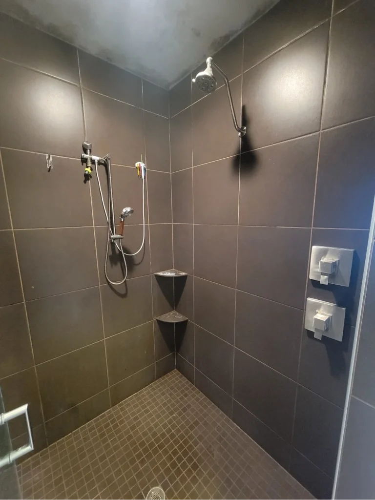 Modern Shower Tile Transformation Before